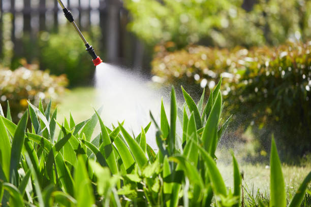 24/7 Emergency Fumigation Services experts in Canby, OR
