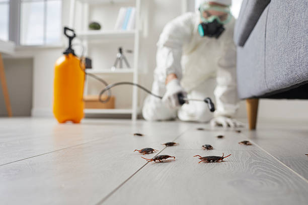 Trusted Cockroach Control service in Canby, OR - Nex Pest Control