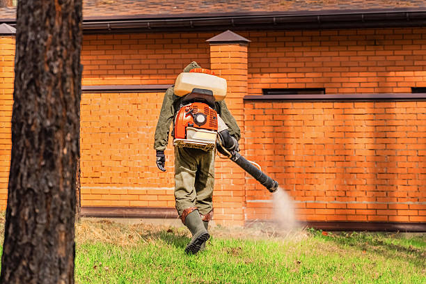 Trusted Emergency Pest Control service in Canby, OR - Nex Pest Control